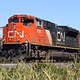 Canadian National Rail - Neenah and Waukesha Subdivisions Logo