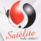 Radio Satélite 102.3 FM Logo