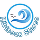 Hibiscus Stereo Logo