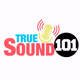 True Sound 101 Logo
