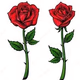 RoseMIX Logo