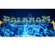 RolononRadio Logo