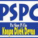 PatShow PiCho Radio Logo