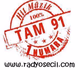Radyo Seçil Logo