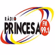 Rádio Princesa FM Logo