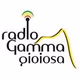 Radio Gamma Gioiosa Logo
