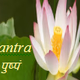 Bhagvad Gita Radio Logo