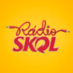 Rádio Skol Rock Logo