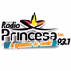 Princesa FM 93.1 Logo
