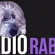 Radio Raban Logo