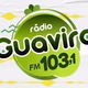 Radio Guavira FM Logo