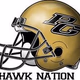 PG Hawk Network Logo