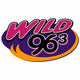 Wild 96.3 - WXWX Logo