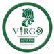 Radio Virgo Logo