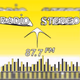 Radio Stereo 87 Logo