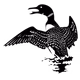 CKYZ 90.3FM - CKZY-FM Logo