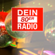 Radio Ennepe Ruhr - Dein 80er Radio logo