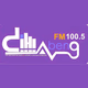 Dihlabeng FM 100.5 Logo