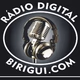 Rádio Web Digital Birigui 89.0 Logo