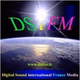 DSi FM Logo