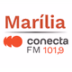 Rádio Conecta 101.9 FM Logo