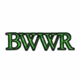 Bible Witness Web Radio Logo