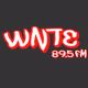 89.5 FM WNTE - WNTE Logo