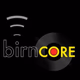 The BIRN - birnCORE Logo
