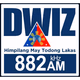 DWIZ 882 - DWIZ Logo