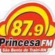 Rádio Princesa 87.9 Logo