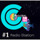 Radio Global FM 91 Logo