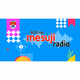 Radio Suara Mesuji Logo