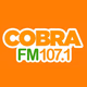 Rádio Cobra FM 107.1 Logo