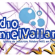 Radio Miel Vallarta Logo