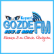 Kayseri Gözde Fm Logo