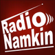 Radio Namkin Logo