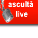 Plus FM Logo