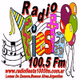 Radio Fiesta 100.5 FM Logo