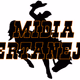 Rádio Mídia Sertaneja Logo