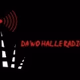 Saale Funk Logo