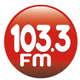 Rádio Liderança FM 103.3 Logo