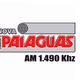 Rádio Nova Paiaguás Logo