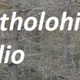 Bartholohit Radio Logo