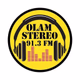 El Olam Stereo 91.3 FM Logo