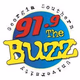 91.9 The Buzz - WVGS Logo