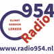 Radio 954 Logo