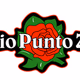 Radio Punto Zero Tre Venezie Logo