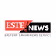 ESTE News - DYVW Logo