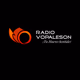 Radio Vopaleson Logo