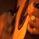 Miled Music - Bolero logo
